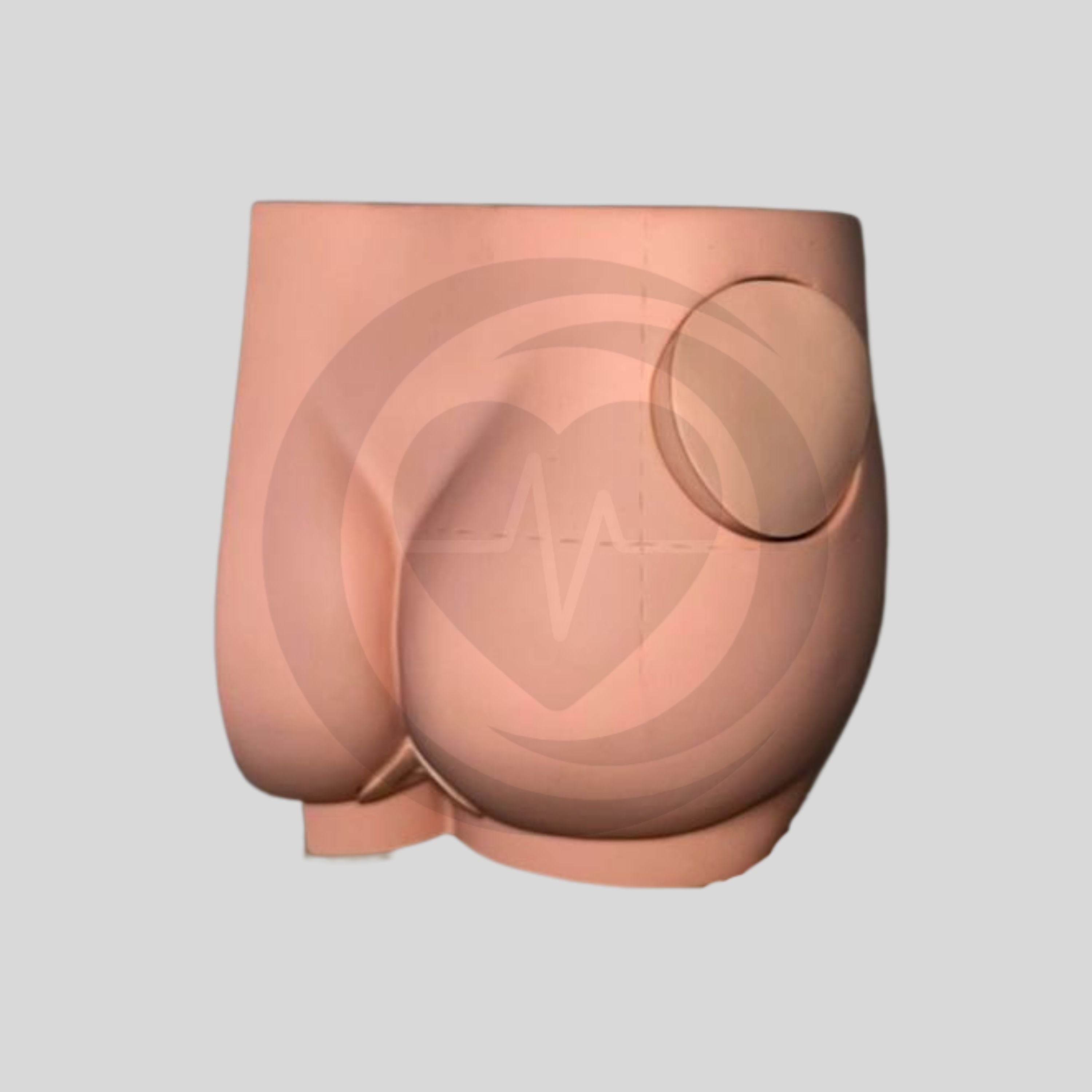 Modelo de Injeção Intramuscular nas Nádegas