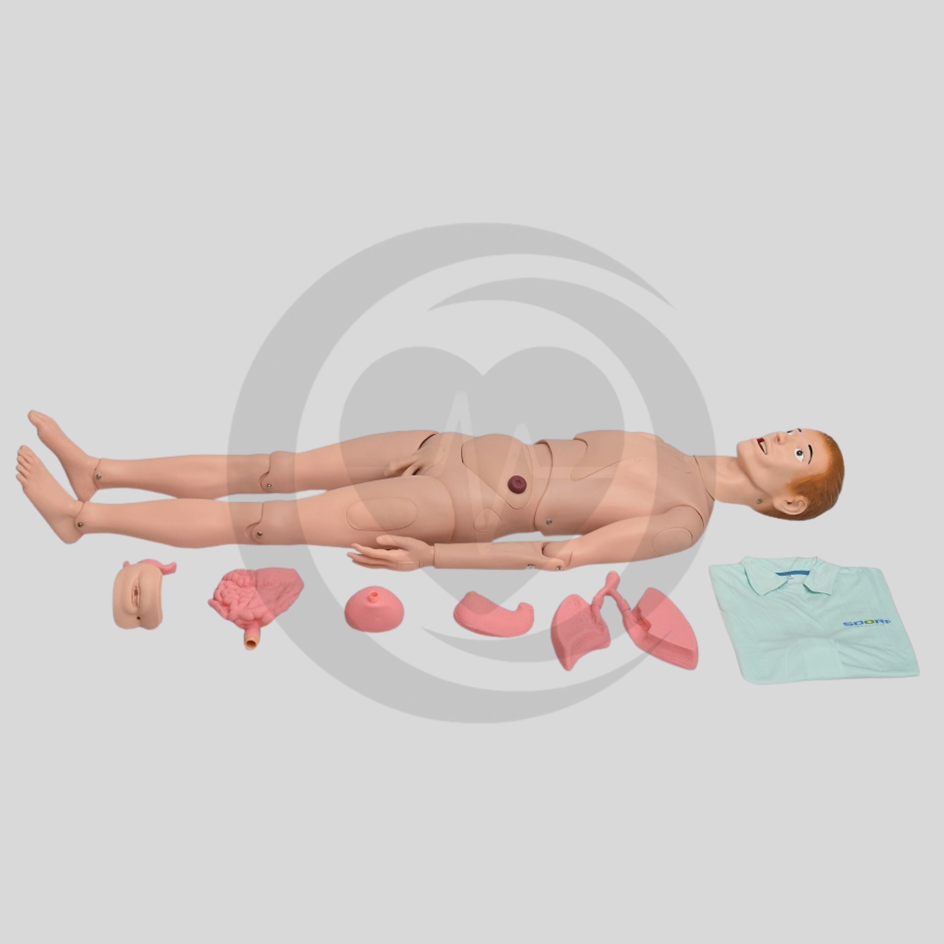 Manequim Simulador Adulto Bissexual com Órgãos Internos